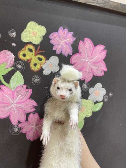 We've just jumped into the water！