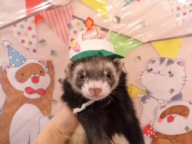 Happy Birthday, Ebony!