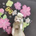 We've just jumped into the water！